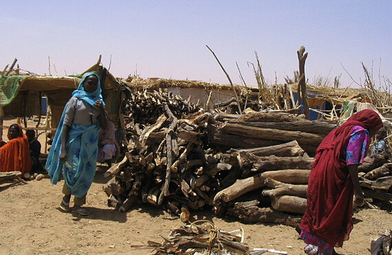 Firewood market in Darfur. CREDIT: <a href="http://flickr.com/photos/genocideintervention/2713877998/in/set-72157606434376928/">Genocide Intervention Network</a> (<a href="http://creativecommons.org/licenses/by-nc-sa/2.0/deed.en">CC</a>).