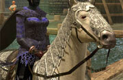 Screen shot from EverQuest II. Image by <br>TexMurphy (<a href="http://en.wikipedia.org/wiki/Image:Eq2_level_60_mount.jpg">Fair Use</a>).