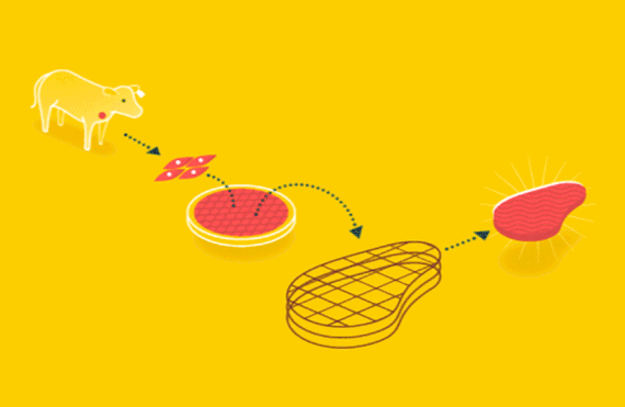 Credit: <a href="http://www.new-harvest.org/ target="_blank">New Harvest</a>.