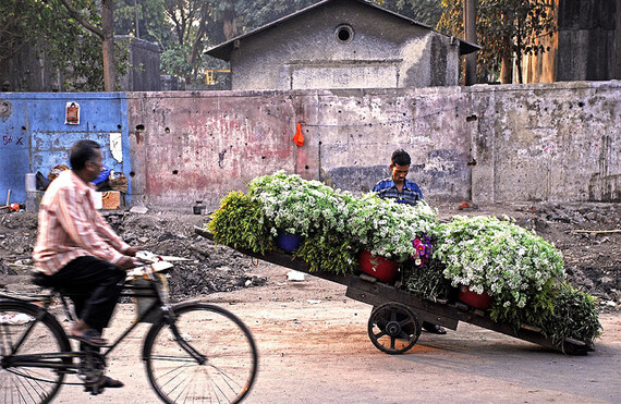 CREDIT: <a href="http://www.flickr.com/photos/lecercle/436319551/">Akshay Mahajan</a> (<a href="http://creativecommons.org/licenses/by-nc-sa/2.0/deed.en">CC</a>).