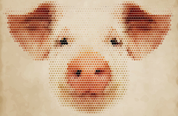 CREDIT: <a href="http://www.shutterstock.com/pic-256155163/stock-photo-illustration-of-pig-head-abstract-isolated-on-a-white-background.html?src=pp-same_artist-256155169-ayB7msNOwb6NTLdAMnyjbw-1&ws=1" target="_blank">Shutterstock </a>