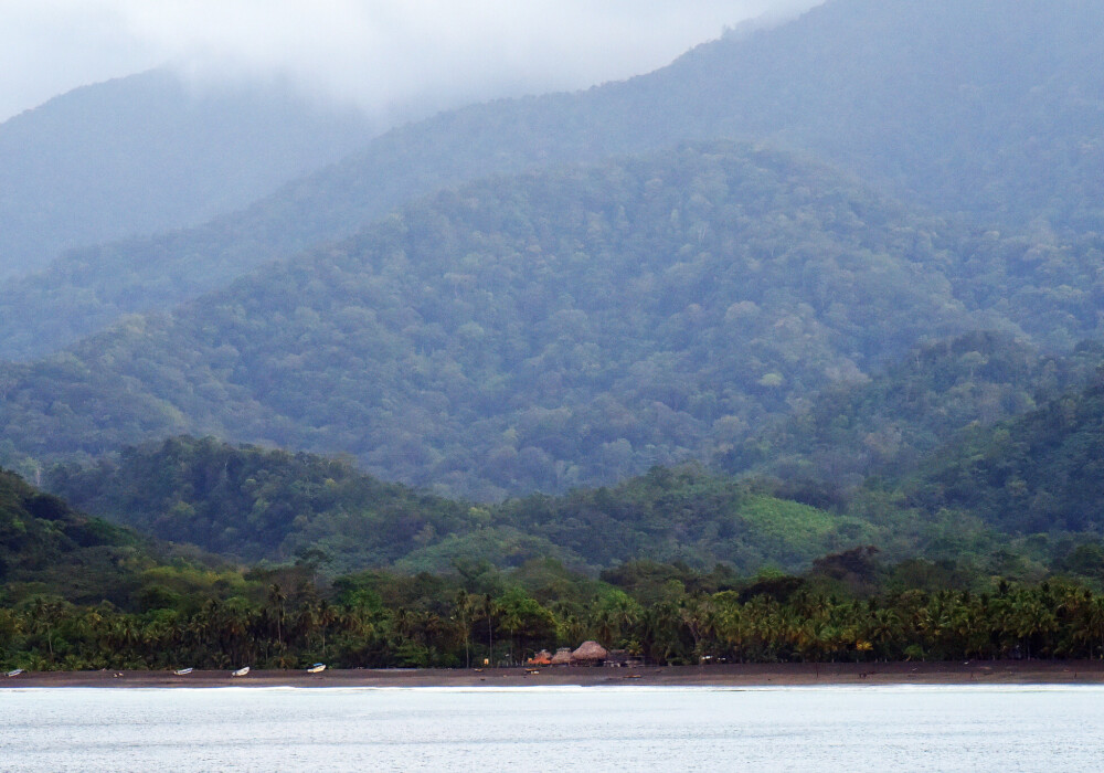 Parc national du Darién au Panama. CREDIT : Harvey Barrison. (CC)