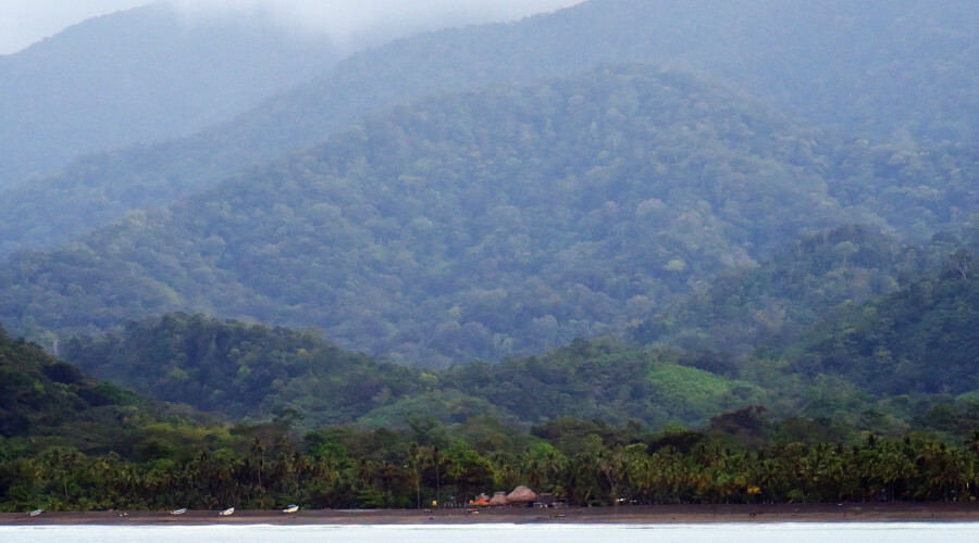 Darién National Park in Panama. CREDIT: Harvey Barrison. (CC)
