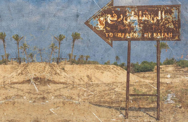 Detalle de la cubierta del libro